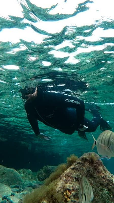 Las Palmas de Gran Canaria: 1h30 guided snorkelling tour in Las Canteras Beach