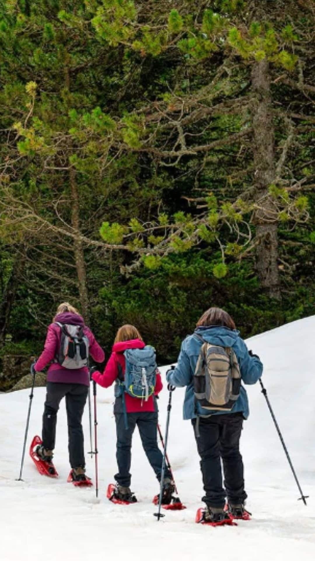 2-hour snowshoeing in Boí Taüll