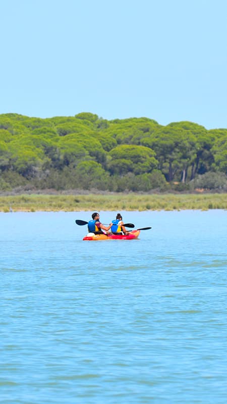 Parc Nacional de Doñana: Ruta guiada de 2h en caiac al riu Guadalquivir