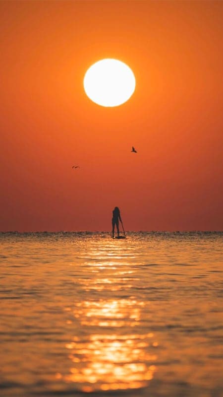 2h Curso de Paddle Surf Las Palmas de Gran Canaria