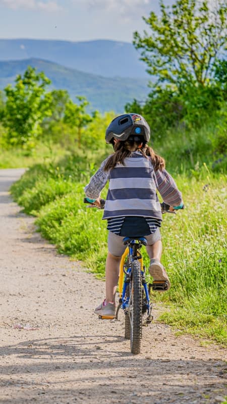 Serra de Guadarrama: Ruta guiada privada amb bicicleta de muntanya de 3h a Madrid