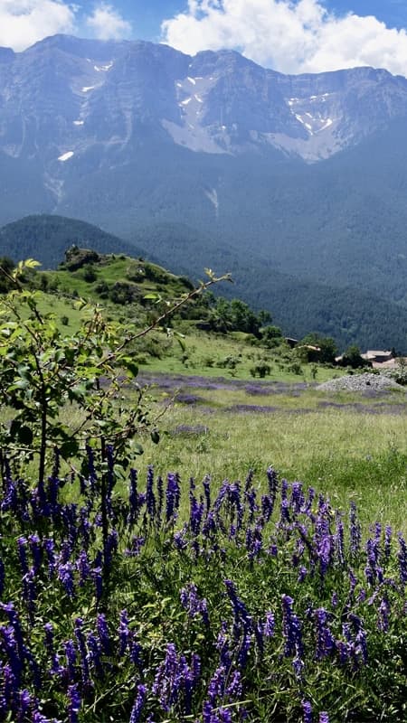 La Seu d'Urgell - Pirineo