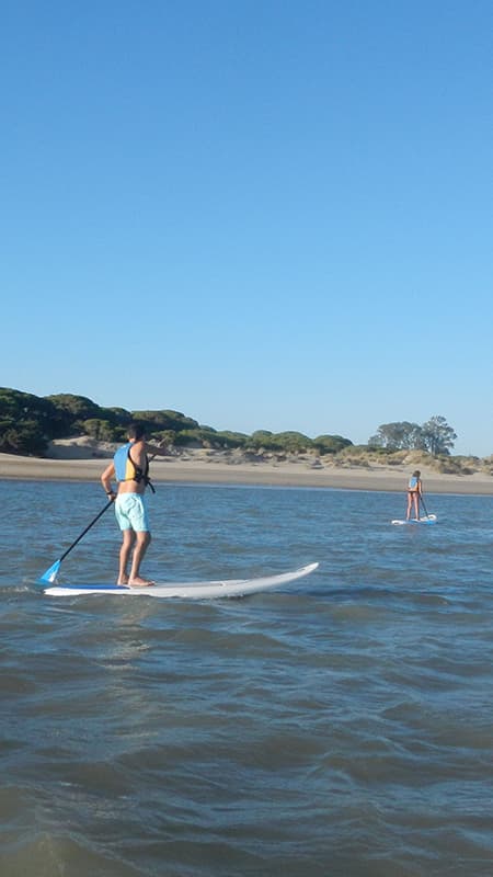 Parc naturel de Doñana : Itinéraire guidé d'1h30 de paddle surfing à l'embouchure du Guadalquivir