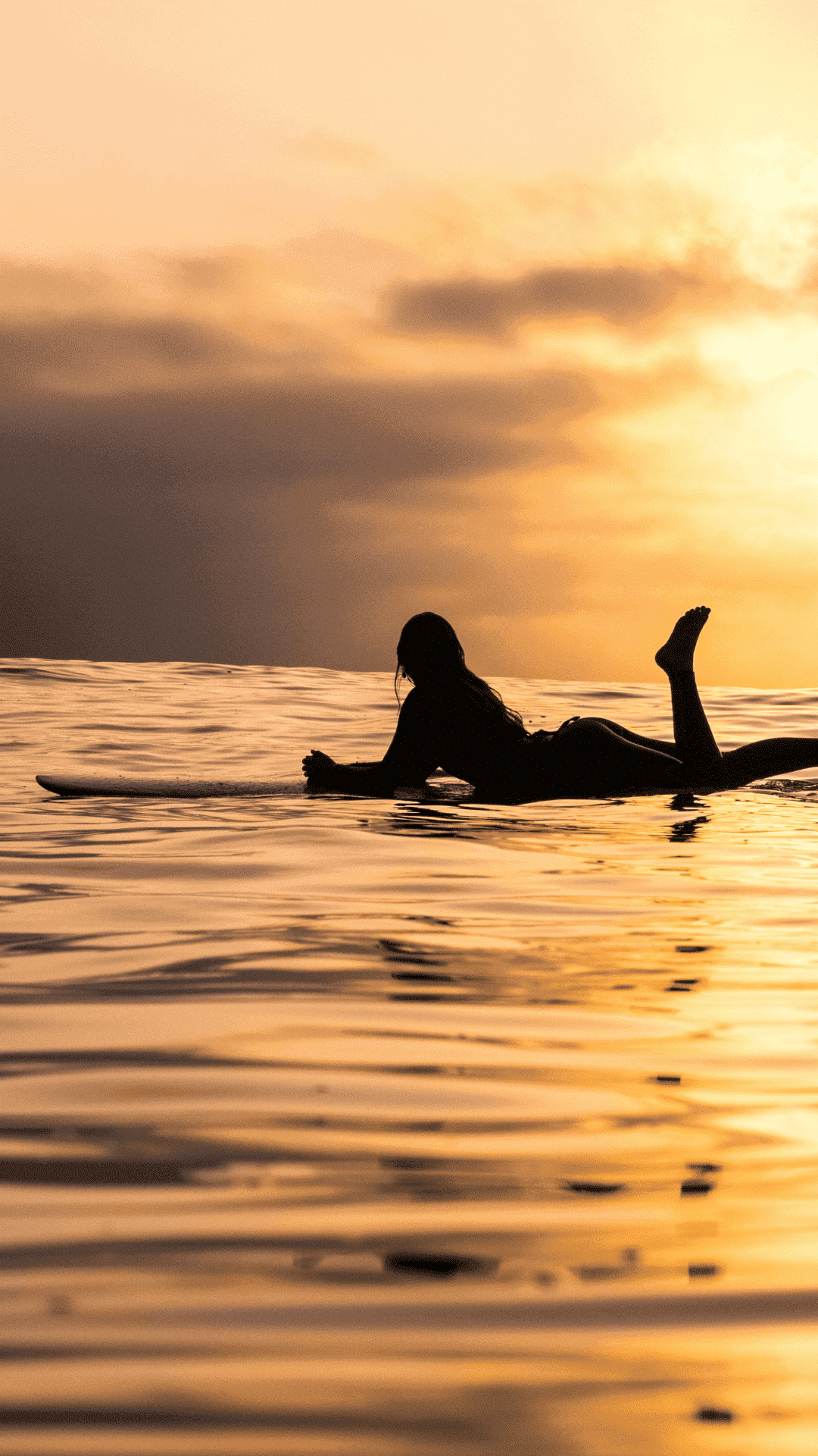 Réservoir Gabriel y Galán : Cours de paddle surf et route de 3 heures à partir de 9 personnes à Cáceres