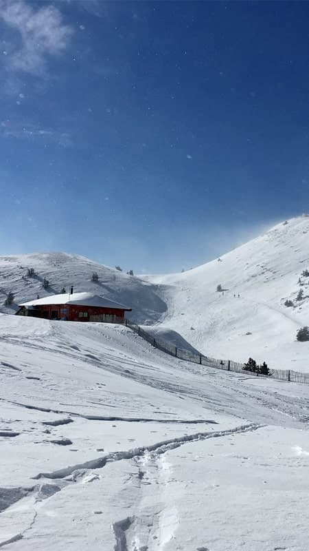 5h Ruta Guiada y Excursión con Raquetas de Nieve en Port del Comte al Pedró de les Quatre Batlles