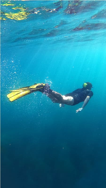 Excursion en Bateau le long des Falaises de Nerja et Maro — avec Paddle Surf et Snorkeling