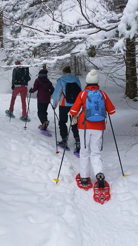 5h Ruta Guiada y Excursión con Raquetas de Nieve en Port del Comte al Pedró de les Quatre Batlles