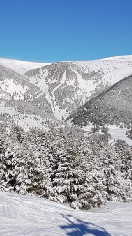 5h Ruta Guiada y Excursión con Raquetas de Nieve en Port del Comte al Pedró de les Quatre Batlles