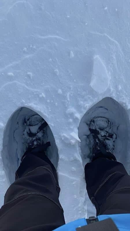 Snowshoeing route 3h in La Cerdanya