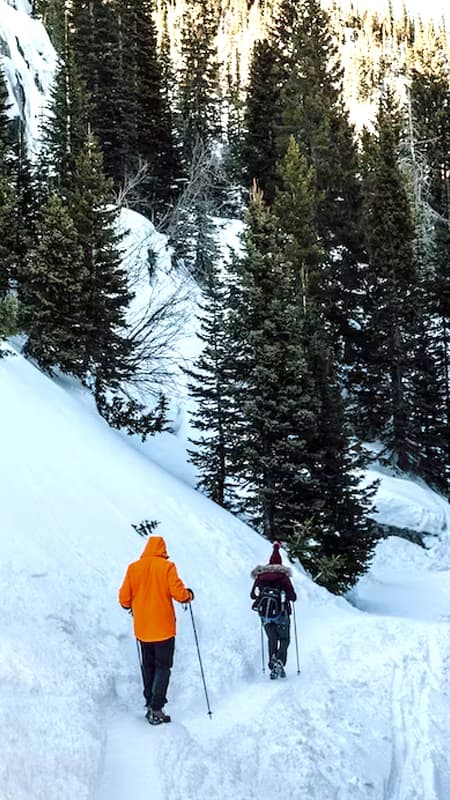 8h Alquiler de raquetas de nieve Madrid en la Sierra de Guadarrama