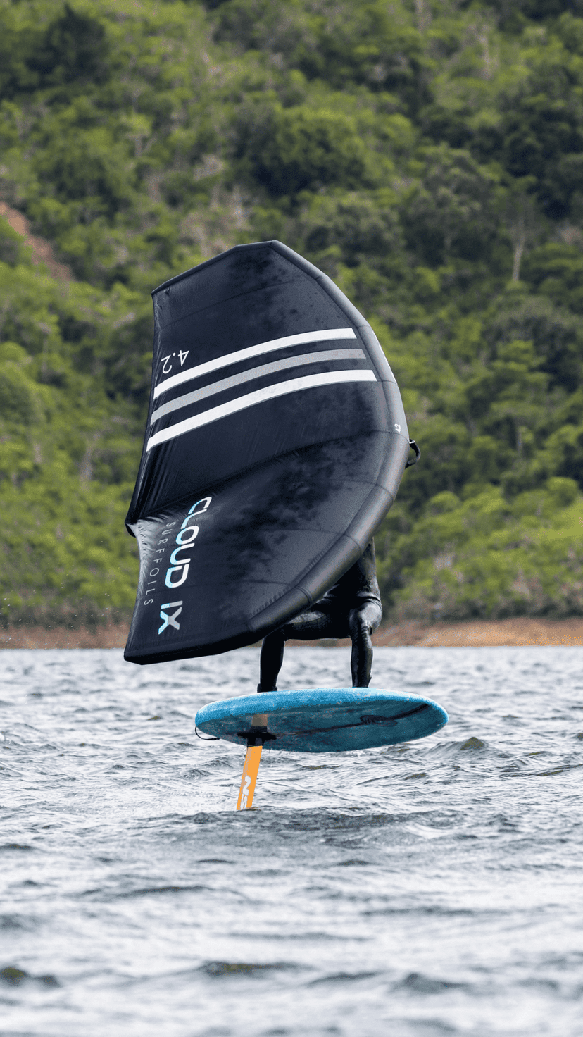 Delta de l'Ebre: Curs de wingfoil per a una persona de 2h o 3h