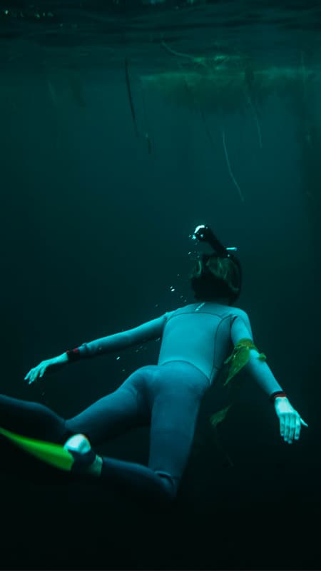 Las Palmas de Gran Canària: Ruta guiada de snorkel nocturn de 1h30 a la Platja de las Canteras