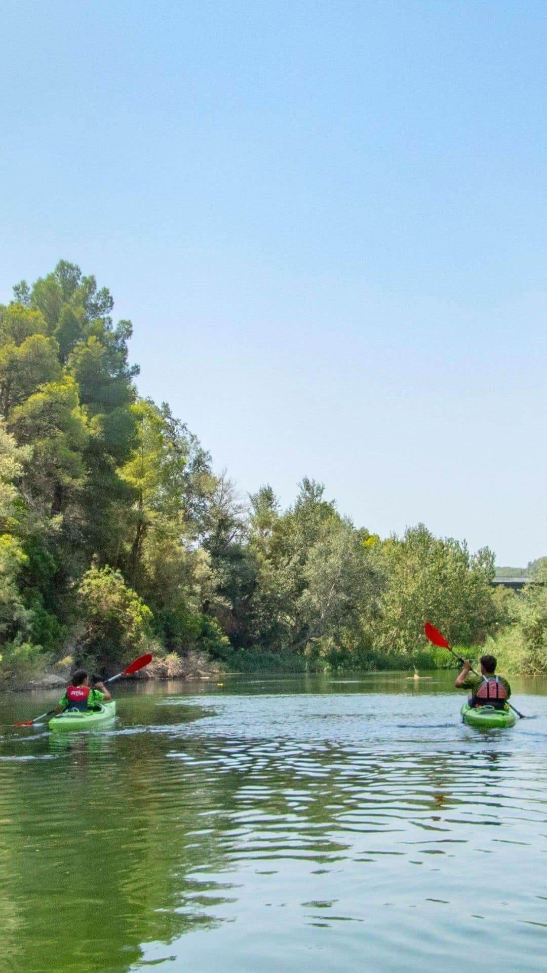 Descens en caiac amb tast de vins al riu Ebre: de Miravet a Benifallet
