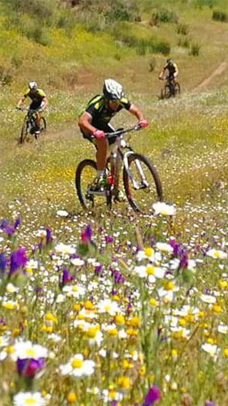 Vall del Jerte: Ruta guiada amb bicicleta de muntanya de 3h a Extremadura