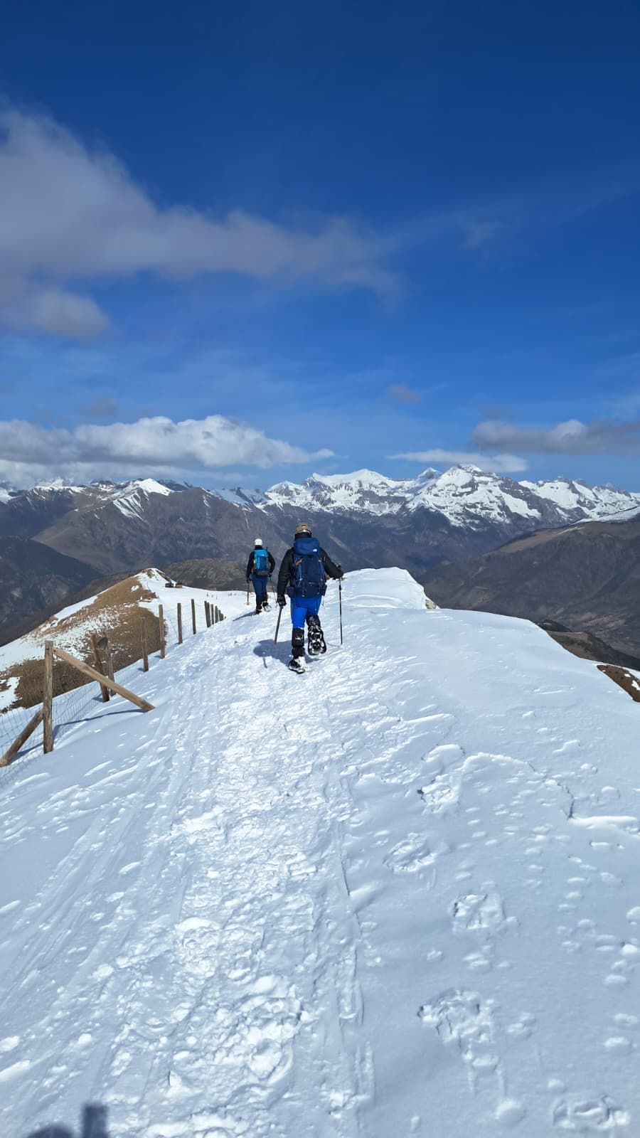 Raquettes à neige de 3 h à Boí Taüll
