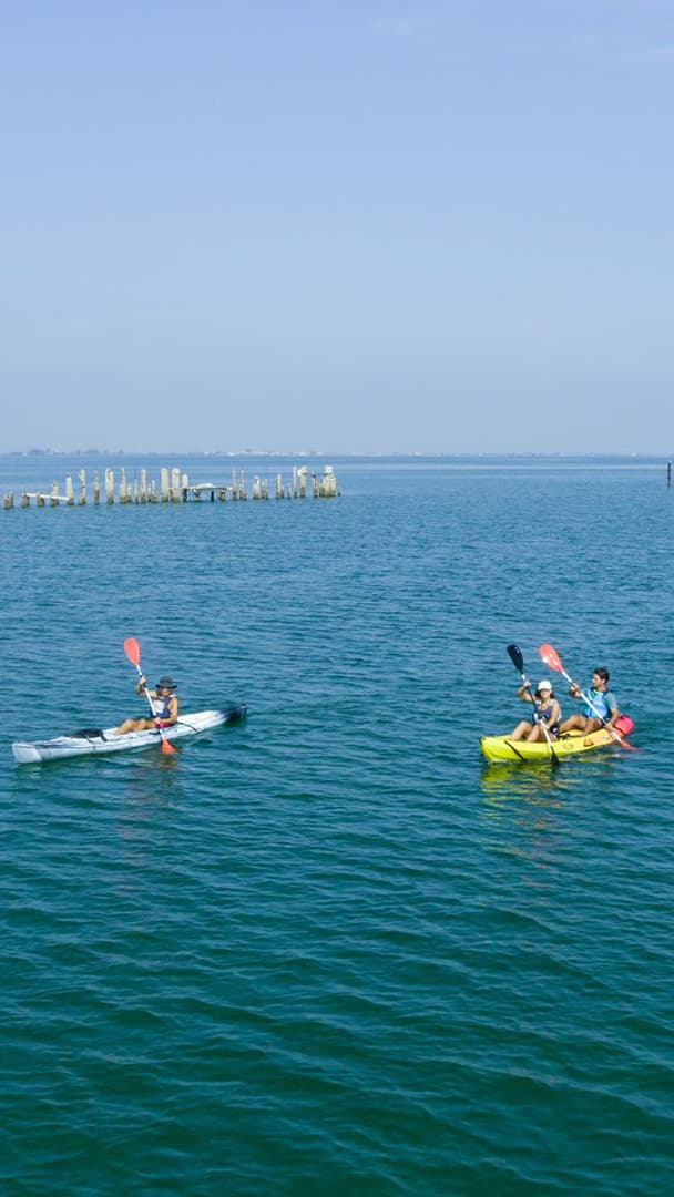 Delta de l'Ebre: Ruta guiada en caiac a la Badia dels Alfacs