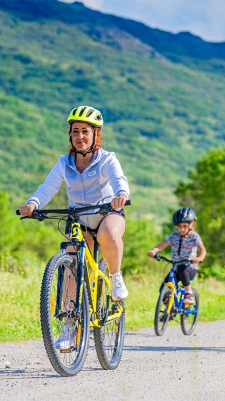 Sierra de Guadarrama: 3h private guided mountain bike tour in Madrid