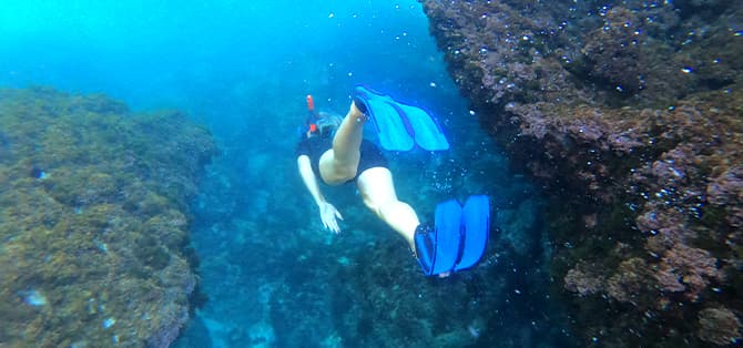 Snorkel