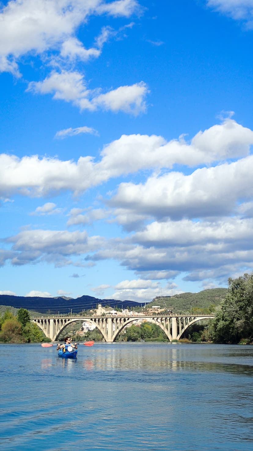 Ruta amb guia exclusiu amb caiac al riu Ebre de Garcia a Móra d'Ebre d'1h30