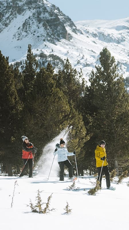 Andorra: 2h Snowshoe rental in Grau Roig