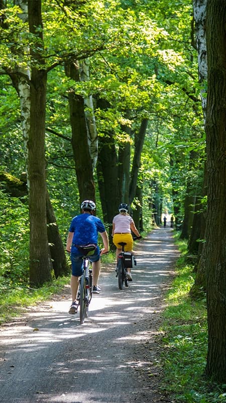 Multi-aventure au Montseny — Randonnée VTT guidée et Tir à l'Arc près de Barcelone