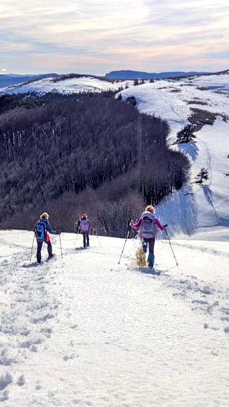 Larra - Belagua: Itinéraire guidée en raquettes de neige de 4 heures dans les Pyrénées navarraises