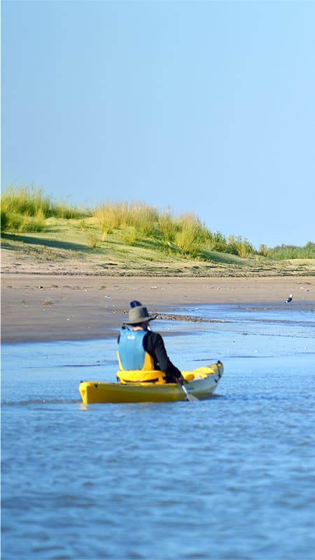 Doñana National Park: 2h Guided Kayak Tour on the Guadalquivir River