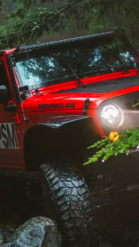Serra de las Nieves: Ruta guiada en 4x4 de 8h a Marbella
