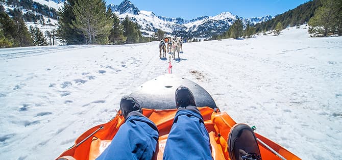 Mushing