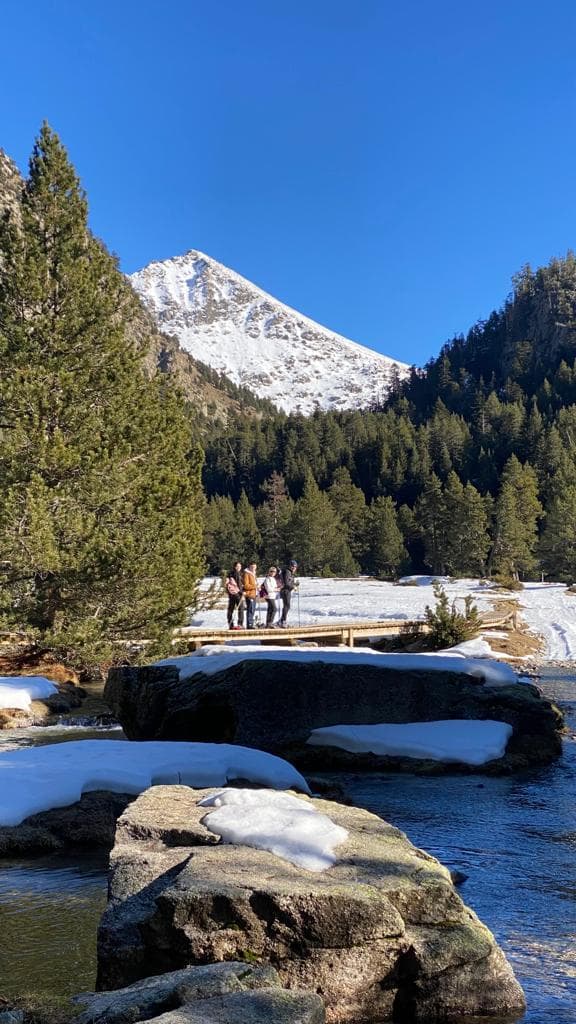 5-Hour Snowshoeing in Aigüestortes and Estany de Sant Maurici