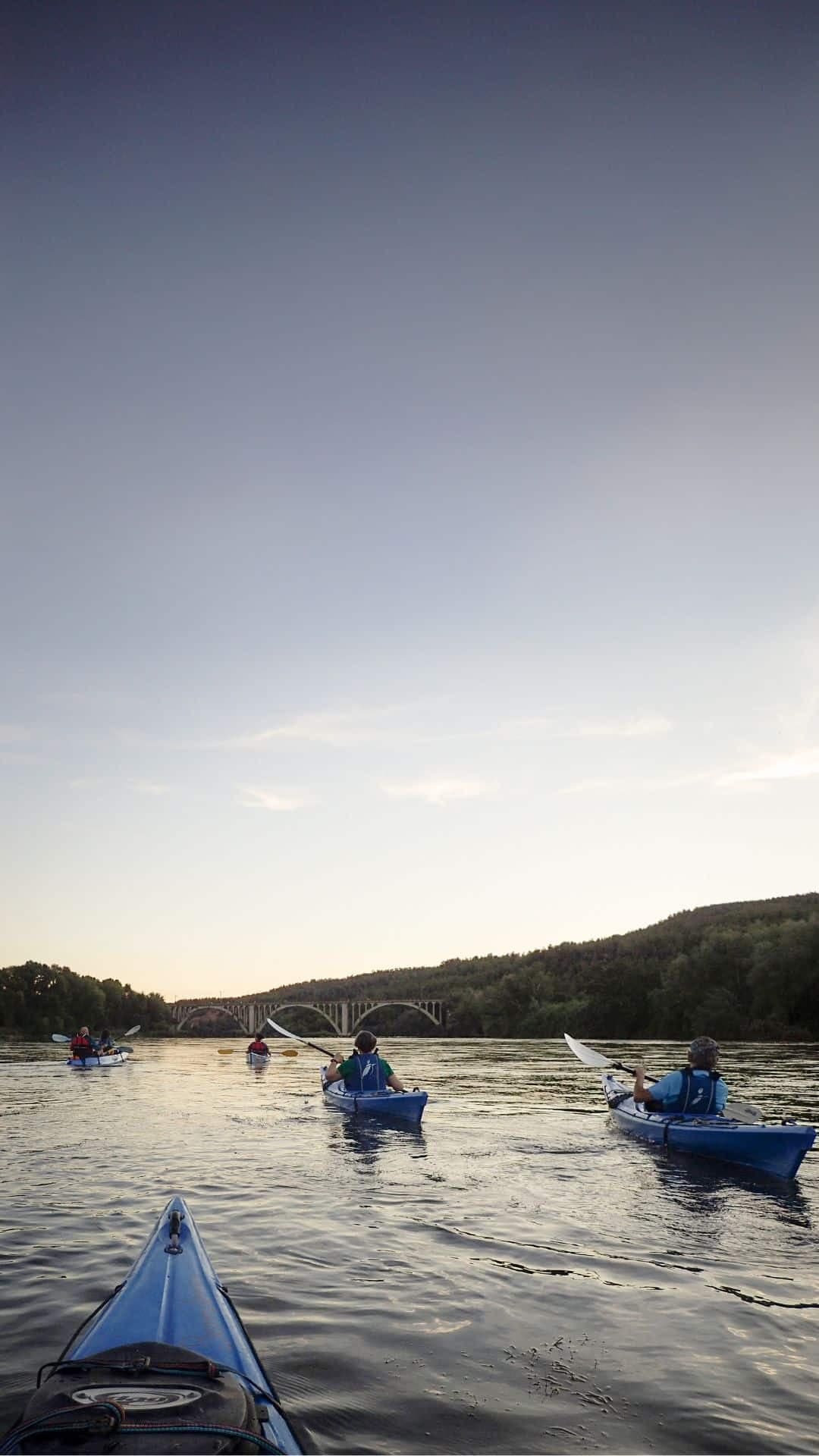 Ruta en caiac pel riu Ebre: Vinebre – Móra d'Ebre