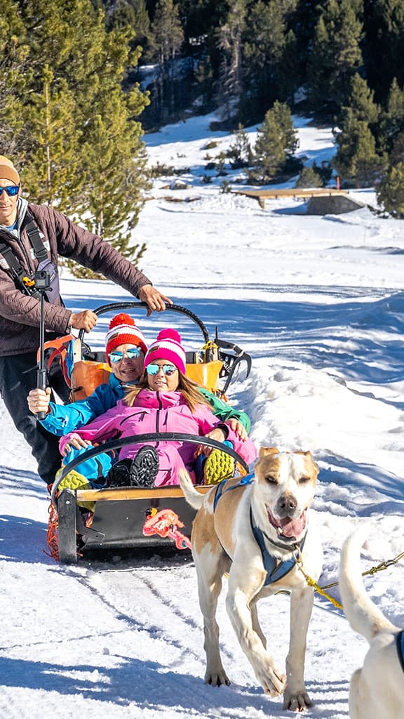 Andorre : balade de 5 km en traîneau à chiens à Grau Roig