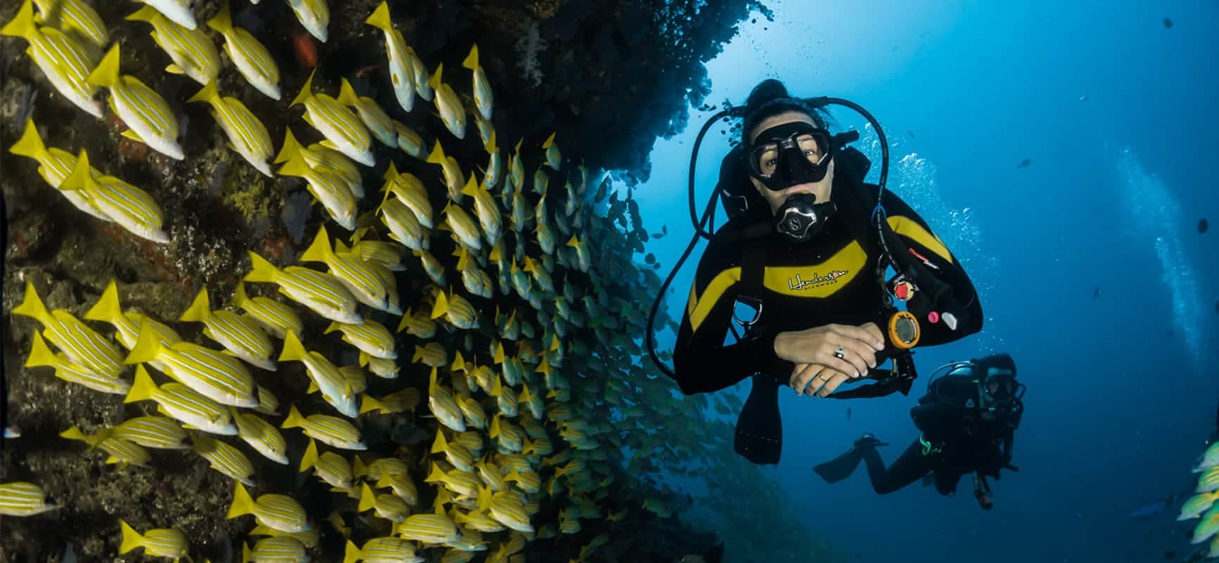 Buceo