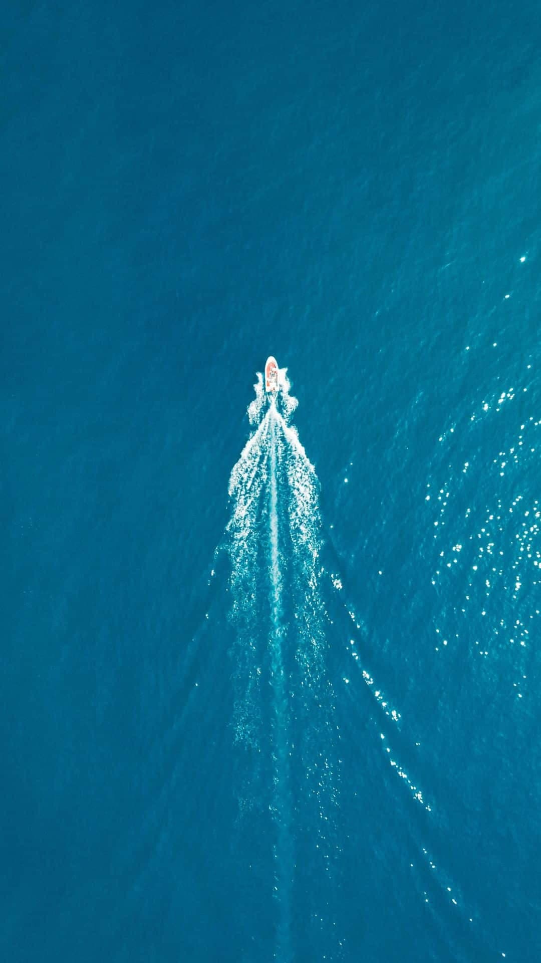 Alquiler de barco con titulación en Menorca, Reserva Marina Biosfera