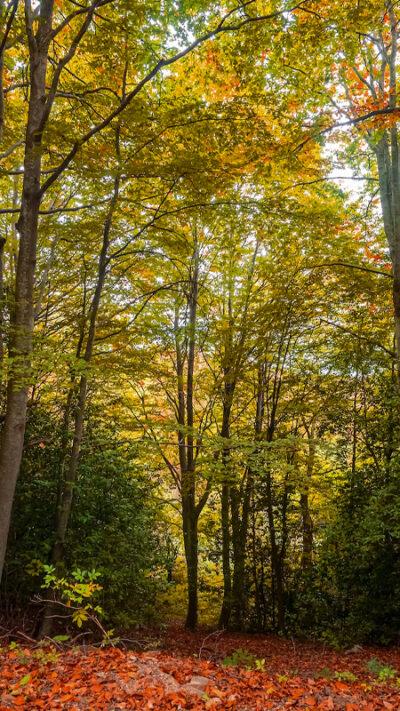 El Montseny – Barcelona