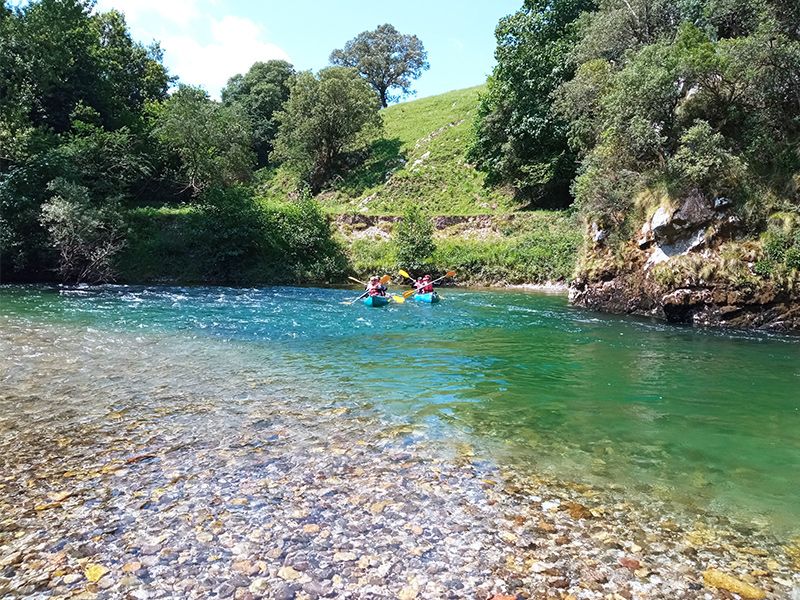 RocRoi en el norte