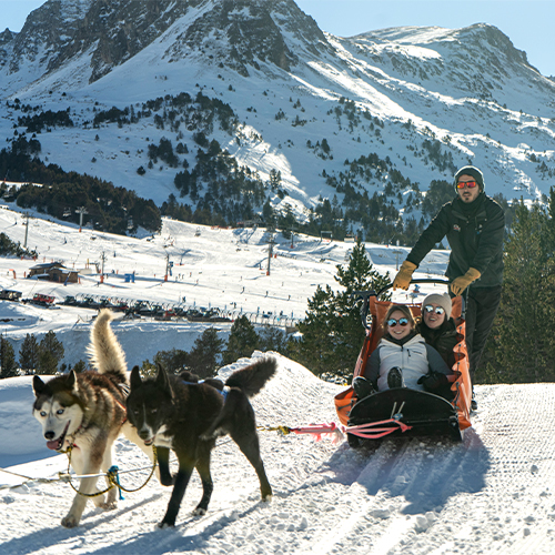 RocRoi-META Premium Andorra Mushing