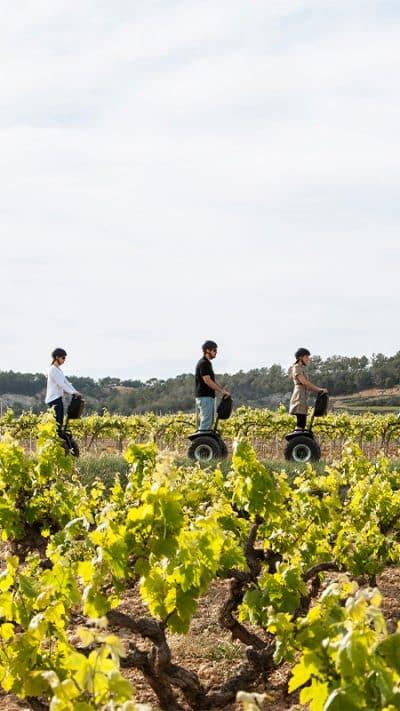 El Penedès – Barcelona