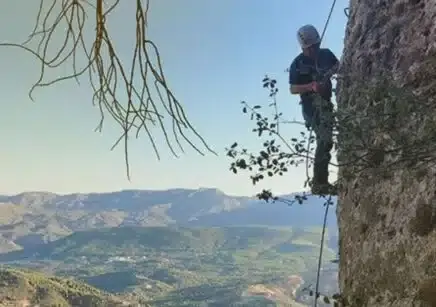 Foto de la semana