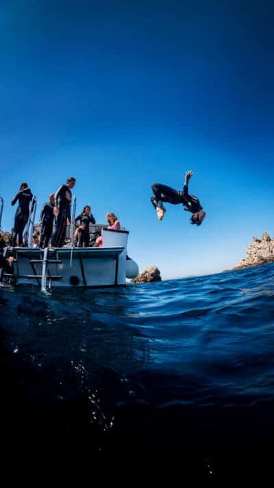 Tour en barco por las Illes Medes con baño: navega la Costa Brava desde L'Estartit