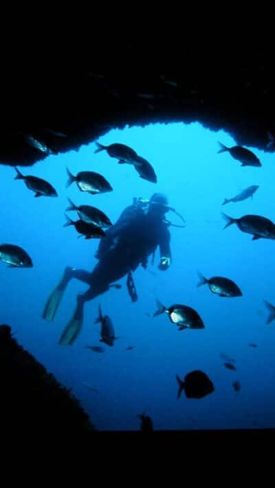 Bautizo de buceo en L’Estartit en la reserva marina del Montgrí, Costa Brava