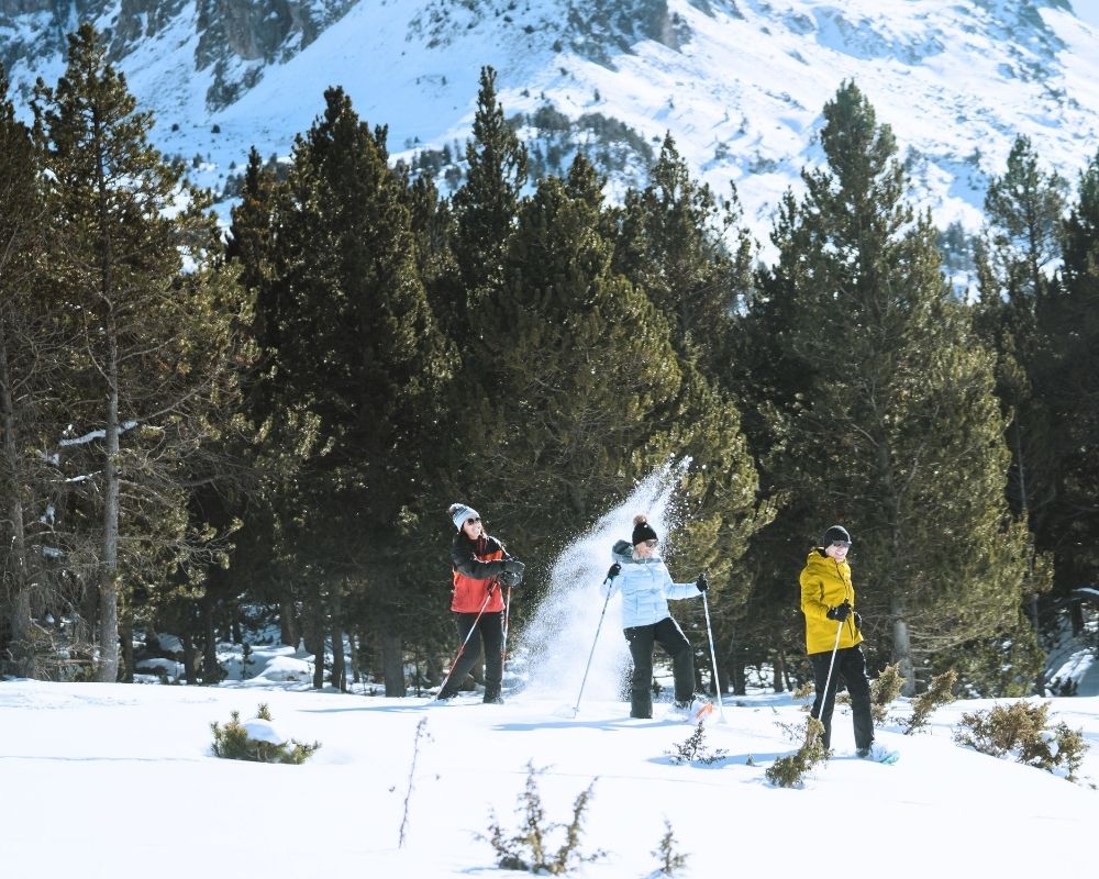 Veure activitats a la Vall de Boí