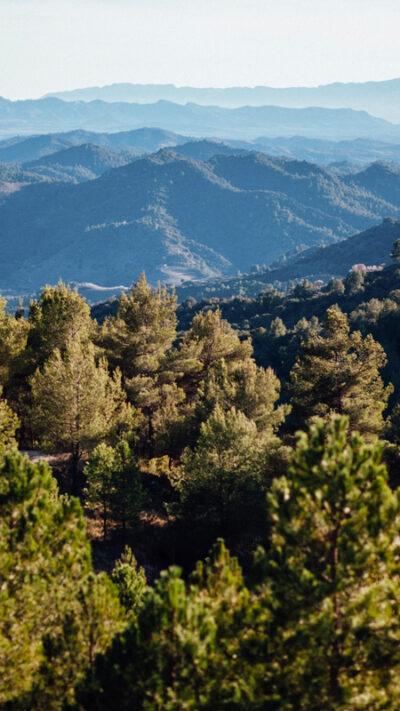 El Montsant – Tarragona