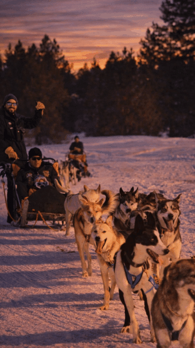 Andorre : Balade nocturne en mushing 5 km