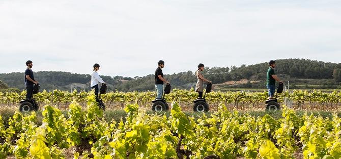 Categorías RocRoi - Segway