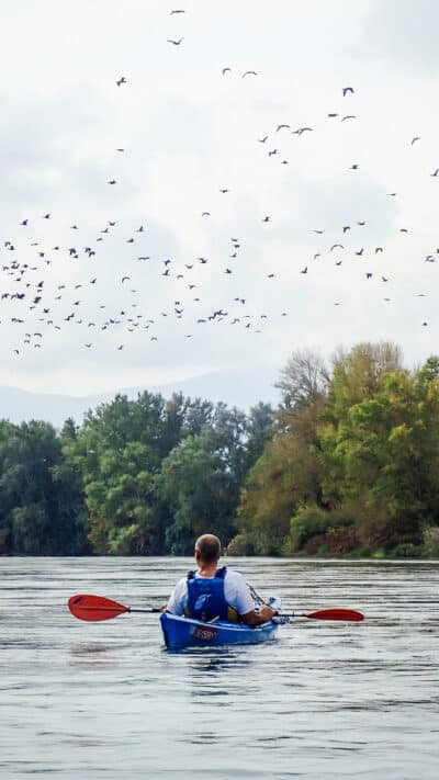 Ruta amb guia exclusiu amb caiac al riu Ebre amb observació d’aus de 3h a Móra d’Ebre