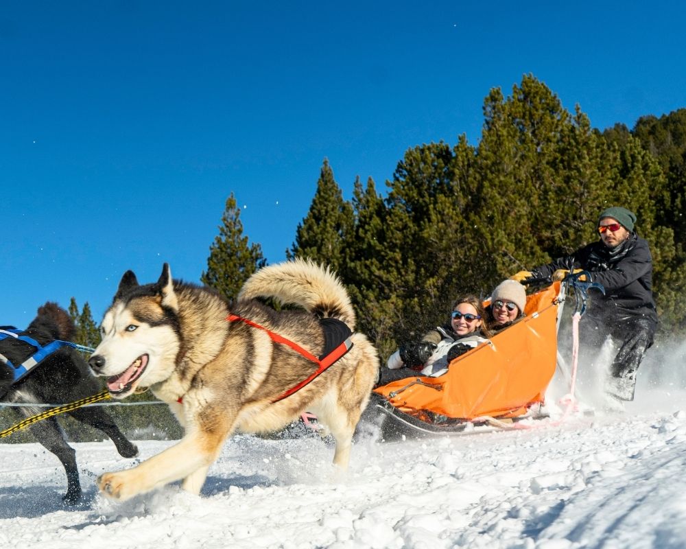 Reservar mushing a Grau Roig