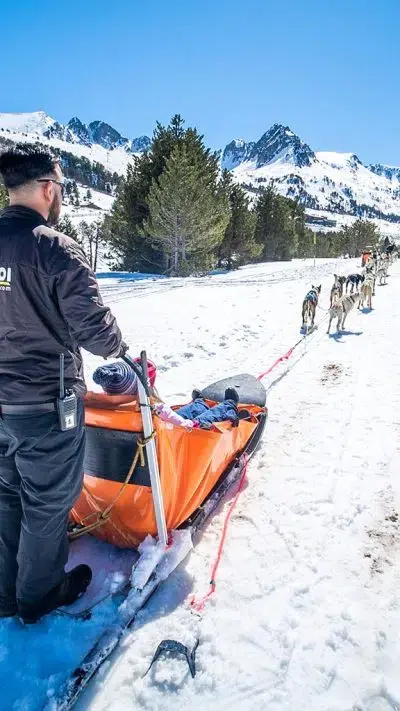 Mushing – Traîneau à chiens