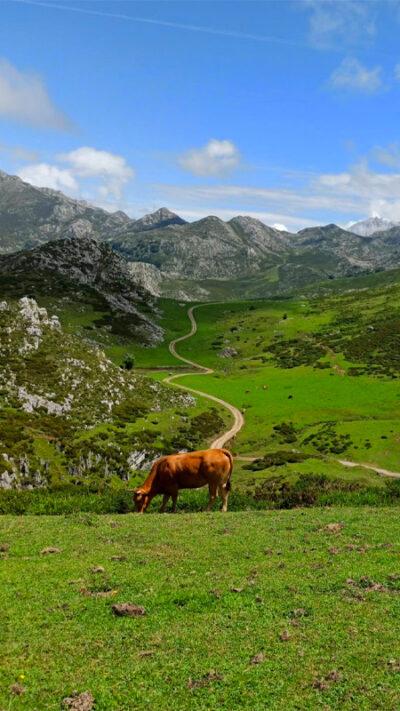 Picos de Europa – Asturias